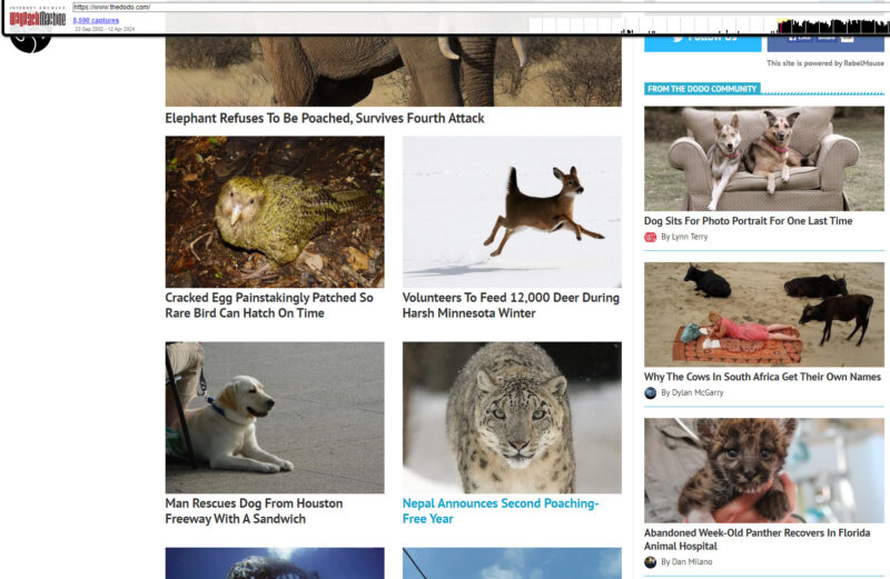 Thedodo.com article ideas